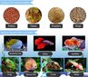 Automātiska zivju barotava akvārijam, dozators cena un informācija | Akvāriji un aprīkojums | 220.lv