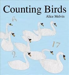 Counting Birds цена и информация | Книги для самых маленьких | 220.lv