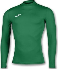 Рубашка с длинным рукавом детская Joma Sport ACADEMY SHIRT BRAMA Зеленый цена и информация | Мужские футболки | 220.lv