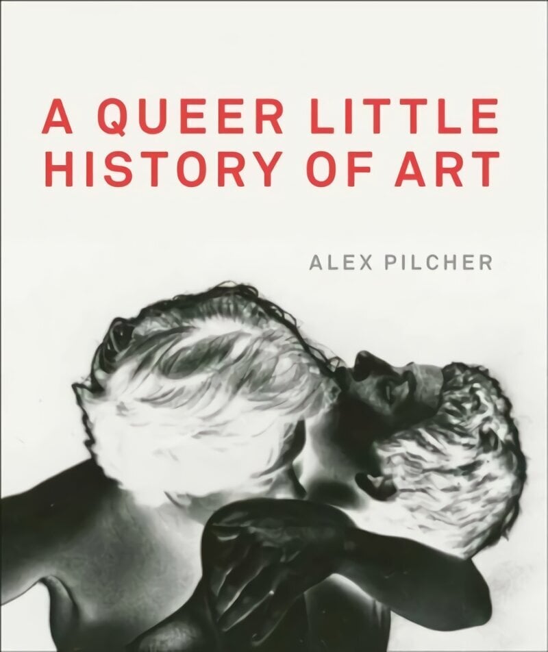 Queer Little History of Art цена и информация | Mākslas grāmatas | 220.lv