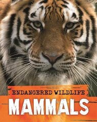 Endangered Wildlife: Rescuing Mammals цена и информация | Книги для подростков  | 220.lv