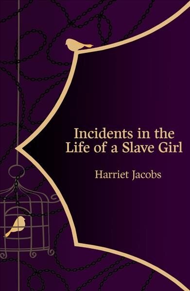 Incidents in the Life of a Slave Girl (Hero Classics) цена и информация | Vēstures grāmatas | 220.lv