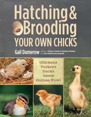 Hatching & Brooding Your Own Chicks: Chickens, Turkeys, Ducks, Geese, Guinea Fowl cena un informācija | Sociālo zinātņu grāmatas | 220.lv