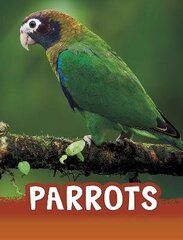 Parrots cena un informācija | Grāmatas pusaudžiem un jauniešiem | 220.lv