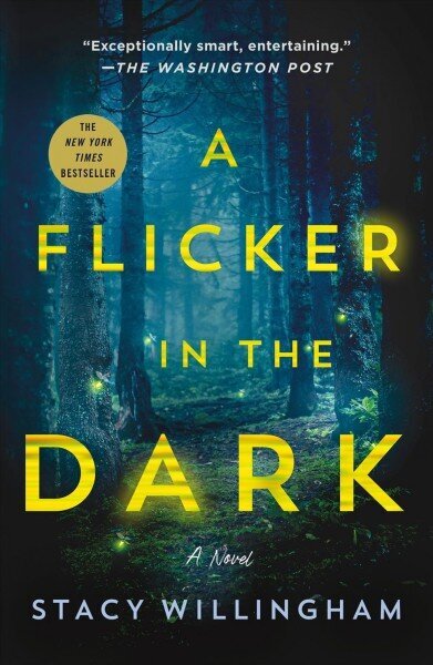 Flicker in the Dark cena un informācija | Fantāzija, fantastikas grāmatas | 220.lv