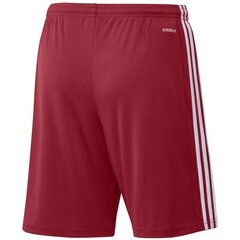 Sporta šorti vīriešiem Adidas Squadra 21 Short M, sarkani cena un informācija | Sporta apģērbs vīriešiem | 220.lv