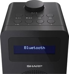 SHARP DR-430 цена и информация | Радиоприемники и будильники | 220.lv