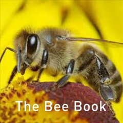 Bee Book цена и информация | Энциклопедии, справочники | 220.lv