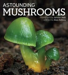 Astounding Mushrooms цена и информация | Книги о питании и здоровом образе жизни | 220.lv