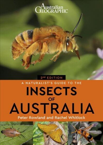 Naturalist's Guide to the Insects of Australia 2nd New edition цена и информация | Enciklopēdijas, uzziņu literatūra | 220.lv