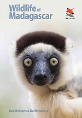 Wildlife of Madagascar cena un informācija | Ceļojumu apraksti, ceļveži | 220.lv