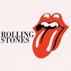 Gleznošanas komplekts pēc numuriem The Rolling Stones 40x40 cena un informācija | Gleznas pēc numuriem | 220.lv
