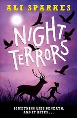 Night Terrors цена и информация | Книги для подростков и молодежи | 220.lv