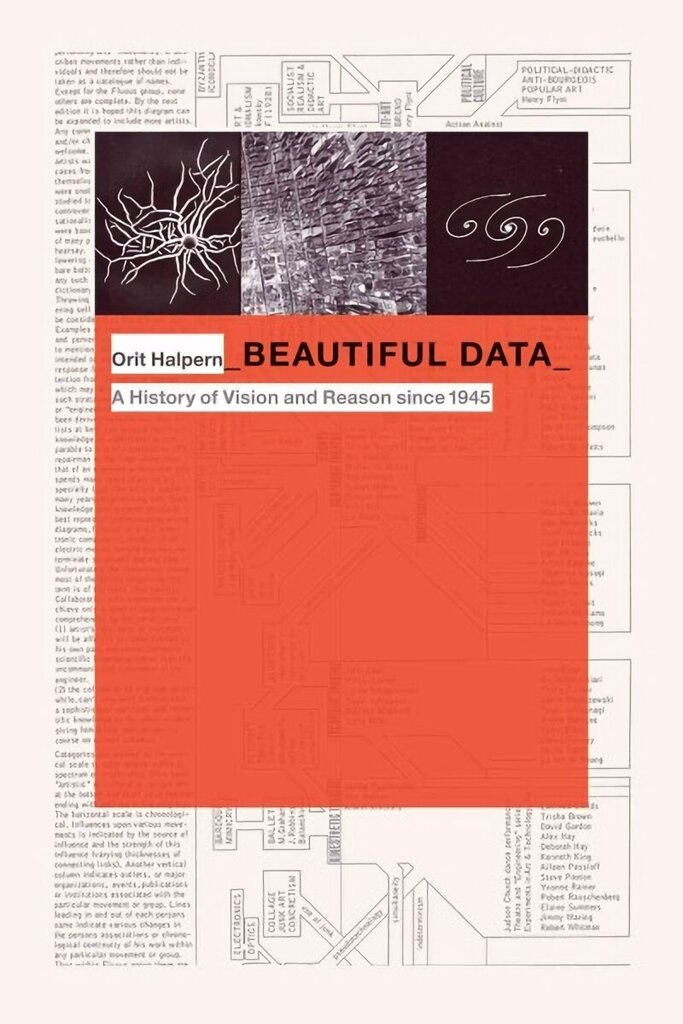 Beautiful Data: A History of Vision and Reason since 1945 цена и информация | Enciklopēdijas, uzziņu literatūra | 220.lv