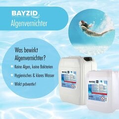 Höfer ķīmija 10 l baseina aļģes Dervights - Peldbaseina un baseina profilaktiskās anti algas - pret aļģēm cena un informācija | Baseina kopšanas līdzekļi | 220.lv