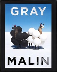 Gray Malin: The Essential Collection цена и информация | Книги по фотографии | 220.lv