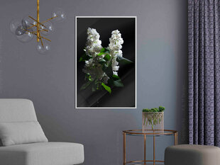 Плакат White Lilac цена и информация | Картины | 220.lv