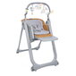 Chicco barošanas krēsls Polly Magic Relax 3in1, almond цена и информация | Barošanas krēsli | 220.lv