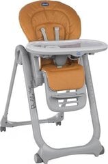 Chicco стульчик для кормления Polly Magic Relax 3in1, almond цена и информация | Стульчики для кормления | 220.lv