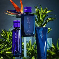 Шампунь для увеличения объема R+Co Blue Ingenious thickening Shampoo, 251 мл цена и информация | Шампуни | 220.lv