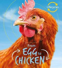 Lifecycles: Egg to Chicken цена и информация | Книги для подростков  | 220.lv