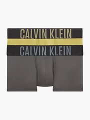 Мужские трусы CALVIN KLEIN Low Rise Sleek Grey Pistache 545663065, 2 шт. цена и информация | Calvin Klein Мужское нижнее белье | 220.lv