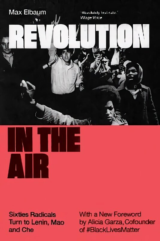 Revolution in the Air: Sixties Radicals Turn to Lenin, Mao and Che цена и информация | Sociālo zinātņu grāmatas | 220.lv
