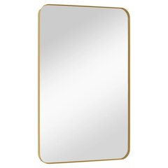 vidaXL sienas spogulis, zelta krāsā, 50x80 cm, taisnstūra cena un informācija | Spoguļi | 220.lv