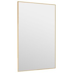 vidaXL durvju spogulis, zelta krāsa, 50x80 cm, stikls un alumīnijs cena un informācija | Spoguļi | 220.lv