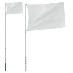 vidaXL teleskopisks karoga masts, sudraba krāsa, 5,55 m, alumīnijs цена и информация | Флаги и аксессуары | 220.lv
