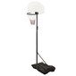 vidaXL basketbola vairogs, balts, 216-250 cm, polietilēns цена и информация | Basketbola statīvi | 220.lv