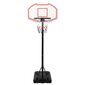 vidaXL basketbola vairogs, balts, 237-307 cm, polietilēns цена и информация | Basketbola statīvi | 220.lv