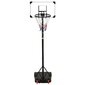 vidaXL basketbola vairogs, caurspīdīgs, 216-250 cm, polikarbonāts cena un informācija | Basketbola statīvi | 220.lv