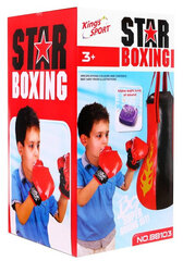 Набор для бокса со звуковыми эффектами цена и информация | Развивающие игрушки | 220.lv