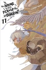 Is It Wrong to Try to Pick Up Girls in a Dungeon?, Vol. 11 (light novel) cena un informācija | Fantāzija, fantastikas grāmatas | 220.lv