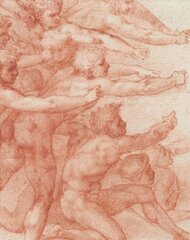 Michelangelo: Divine Draftsman and Designer cena un informācija | Mākslas grāmatas | 220.lv