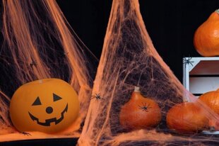 Zirnekļu tīkls - dekors Helovīnam, krāsa: oranža, 1 gab/20g, zirnekļi - 4 gab. (PAJPO-NP) 6684 cena un informācija | Svētku dekorācijas | 220.lv