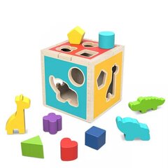 Деревянный сортер Tooky Toy цена и информация | Развивающие игрушки | 220.lv