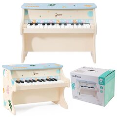 Классическое мировое фортепиано цена и информация | Развивающие игрушки | 220.lv