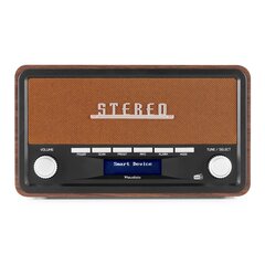 Audizio Foggia Retro DAB+ Radio Copper цена и информация | Радиоприемники и будильники | 220.lv