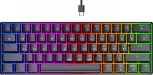 Preyon Brown All Claw Gateron Brown Hot Swap PBAC61B цена и информация | Клавиатуры | 220.lv