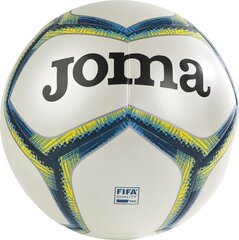 Футбольный мяч Joma Sport, 5 размер цена и информация | Футбольные мячи | 220.lv