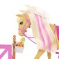 Bārbijas zirgu stila komplekts GXV77 cena un informācija | Rotaļlietas meitenēm | 220.lv
