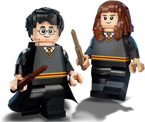 Lego Harijs Poters un Hermione Grendžere цена и информация | Конструкторы и кубики | 220.lv