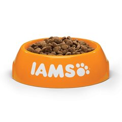 Sausā barība kaķiem ar vistu Iams Sterilised Cat, 10 kg cena un informācija | Sausā barība kaķiem | 220.lv