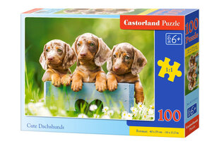 Puzle 100 CUTE DACHSHUNDS 111213 cena un informācija | Puzles, 3D puzles | 220.lv