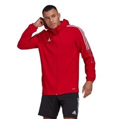 Мужской джемпер Adidas Tiro 21 Windbreaker M, красный цена и информация | Мужская спортивная одежда | 220.lv