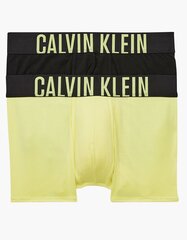 Мужские трусы CALVIN KLEIN Trunks 545652404, 2 шт. цена и информация | Calvin Klein Мужское нижнее белье | 220.lv