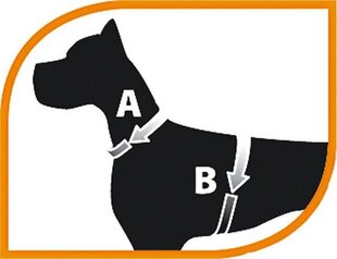 Шлейка для собак Ferplast Daytona, черная, S цена и информация | Ошейники, подтяжки для собак | 220.lv