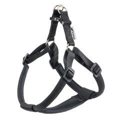 FERPLAST Daytona Dog harness - L цена и информация | Ошейники, подтяжки для собак | 220.lv
